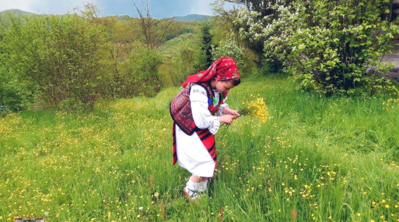 Maramures plai cu flori